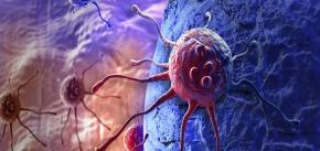 Qu es el cancer hereditario?